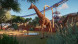 Игра Planet Zoo: Console Edition [PS5, английская версия] в Калуге