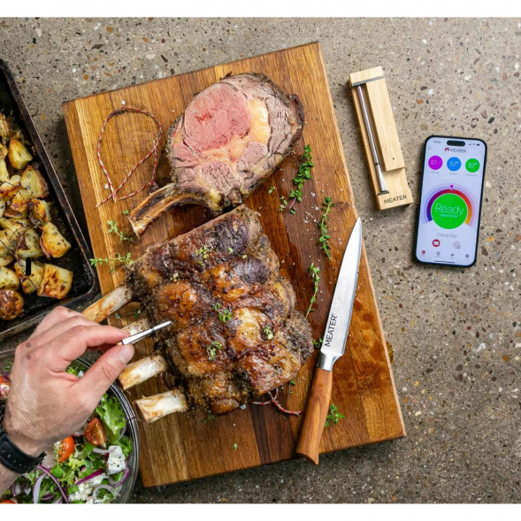 Термометр щуп для мяса MEATER 2 Plus (MT-MP201) в Калуге