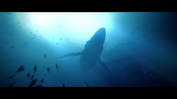Игра Under The Waves [PS4, русские субтитры] в Калуге